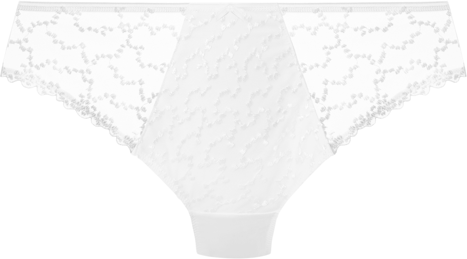 ANA Brief