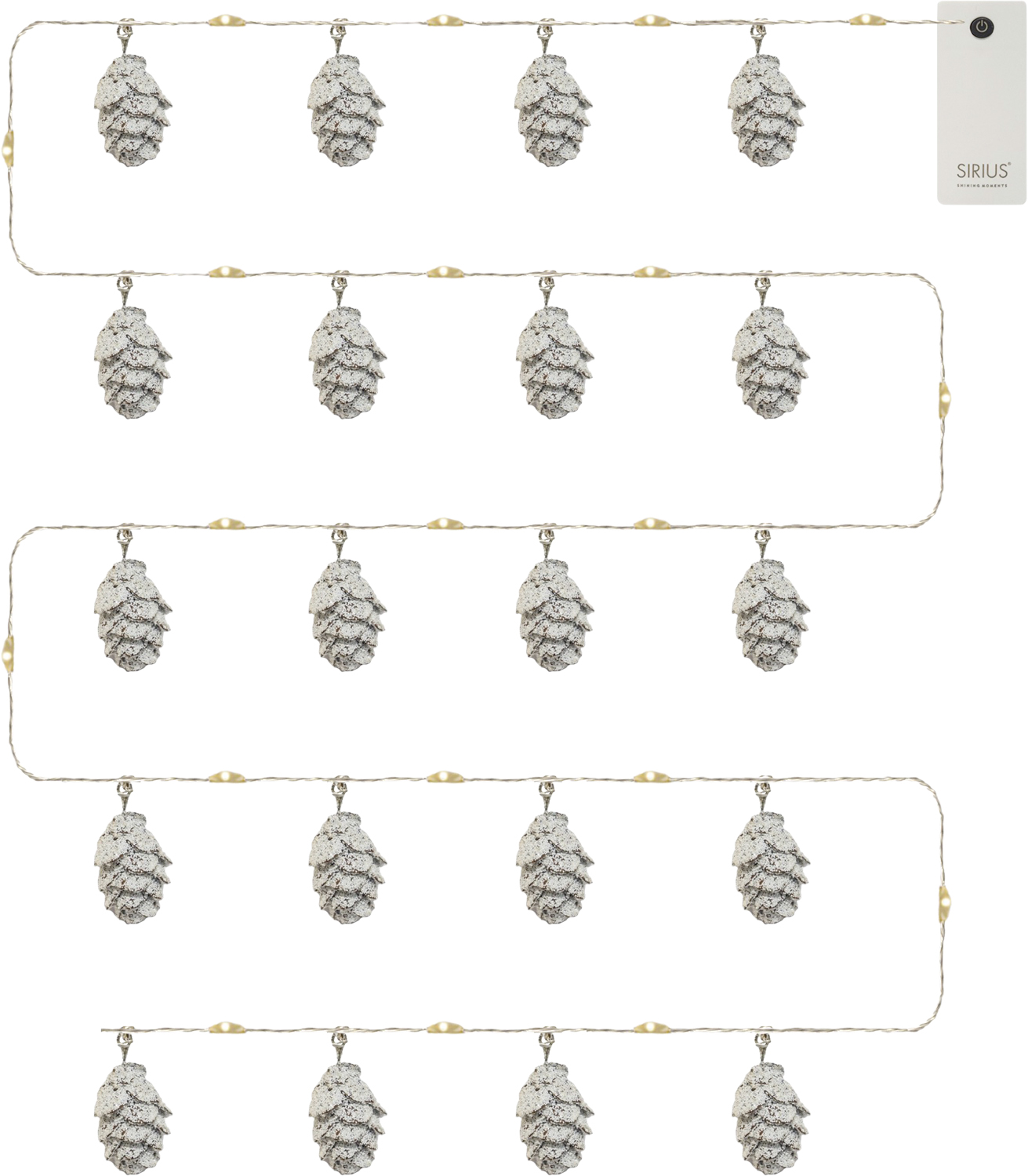 Molly Kogler sne 20L