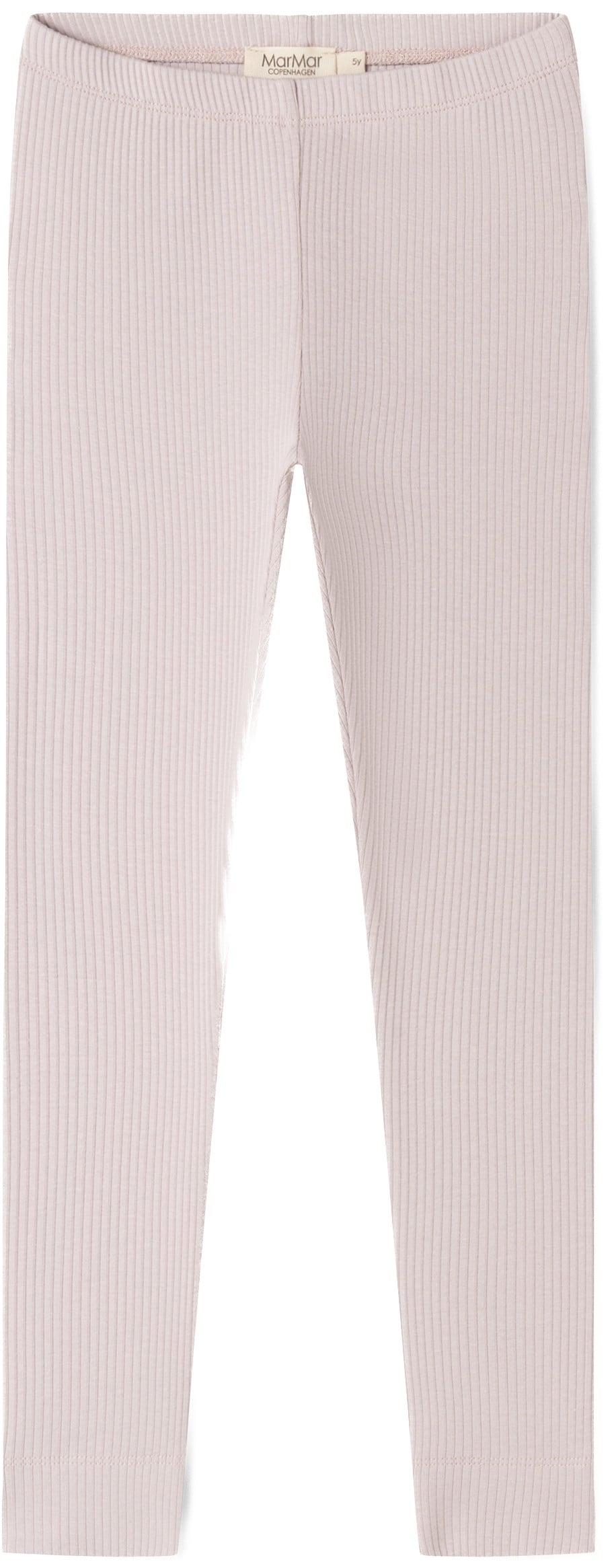 Leg