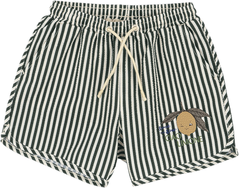 Seer Asnou Swimshort Grs