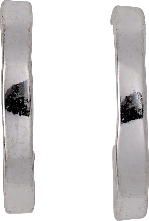 Øreringe Earrings Sølvbelagt