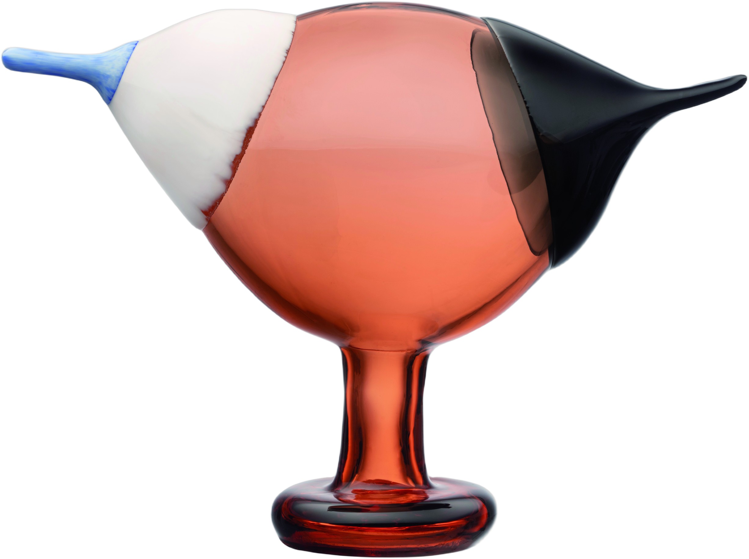BBT Blue Magpie 250x175mm Seville Orange