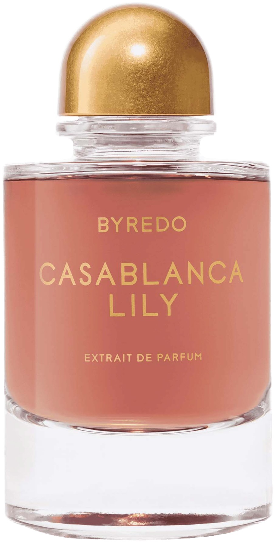 Night Veils Casablanca Lily