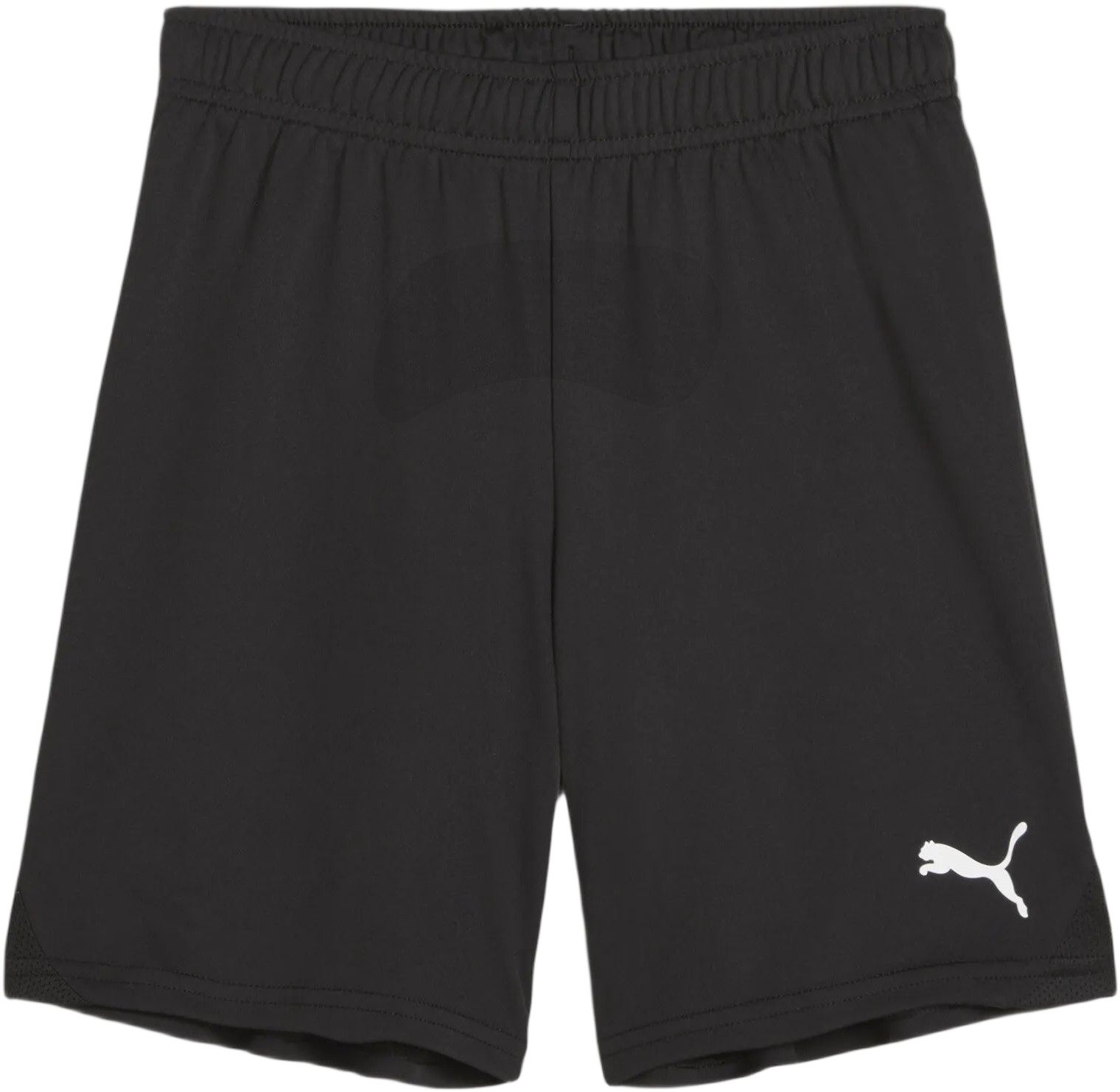 Teamgoal Shorts