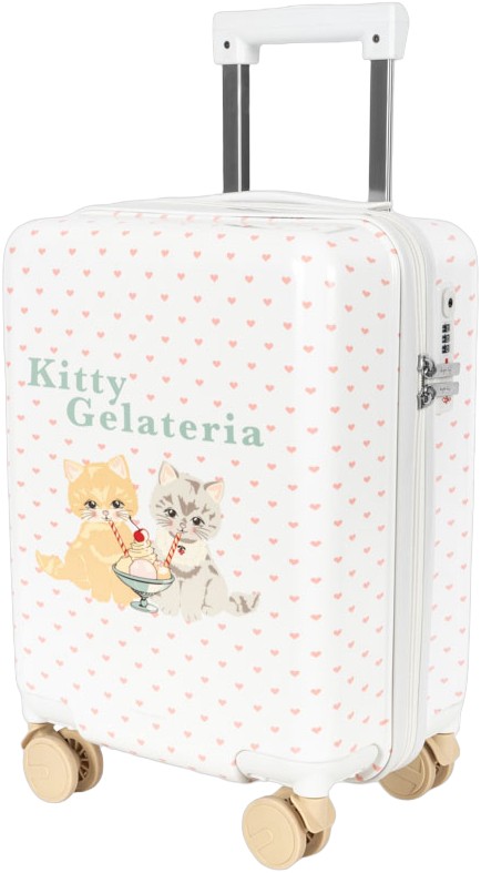 Travel Suitcase