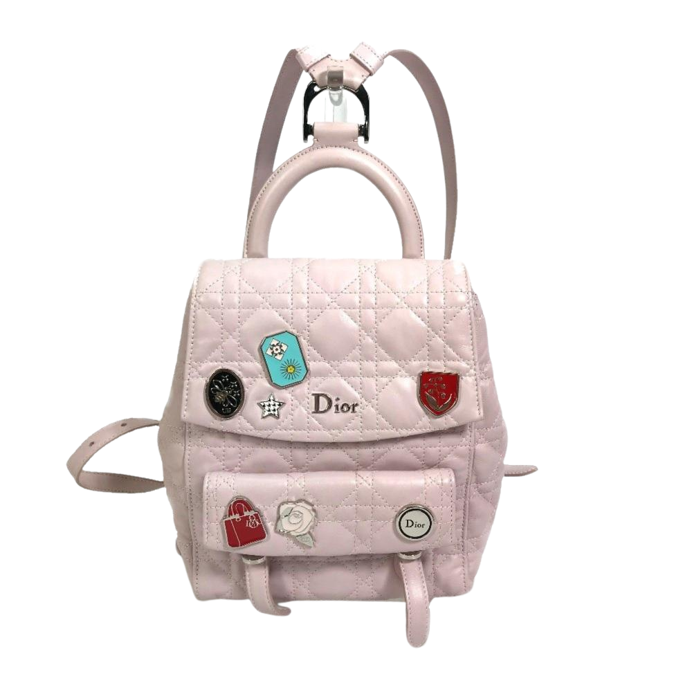 Dior Backpack
