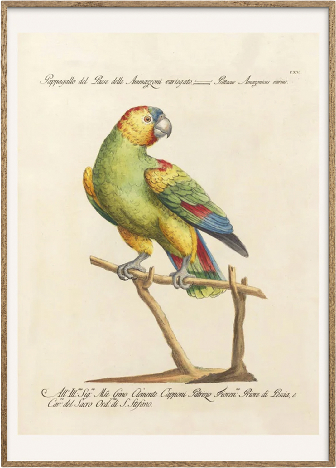 Artimuus Artimuus 141