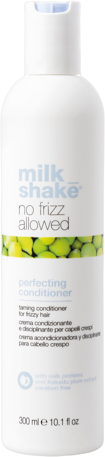 No Frizz Allowed Conditioner