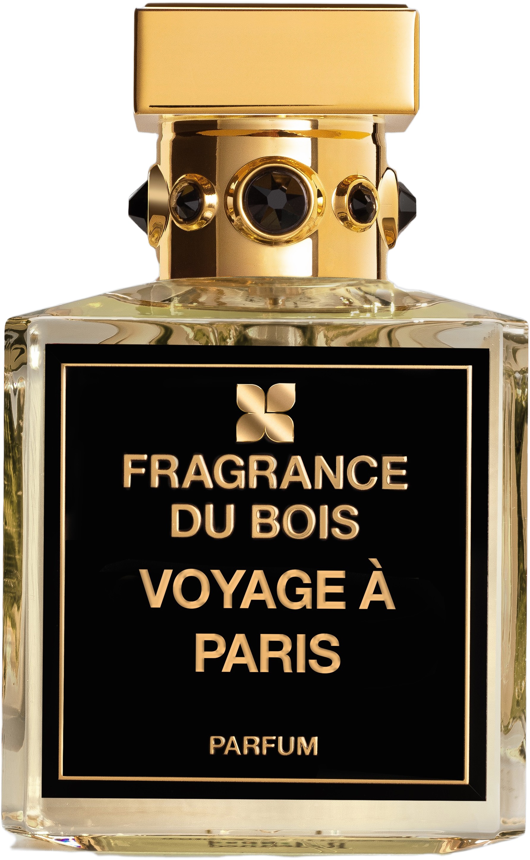 Voyage Ã Paris