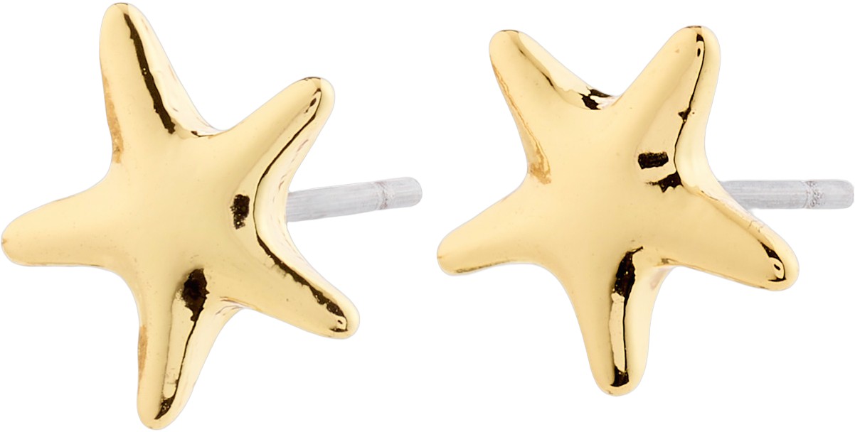 André Earrings Goldplated