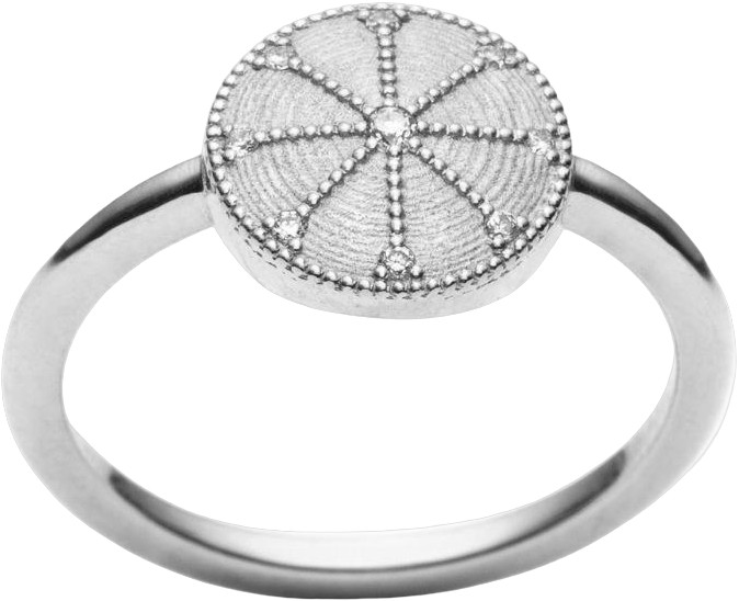 Clean Energy Ring
