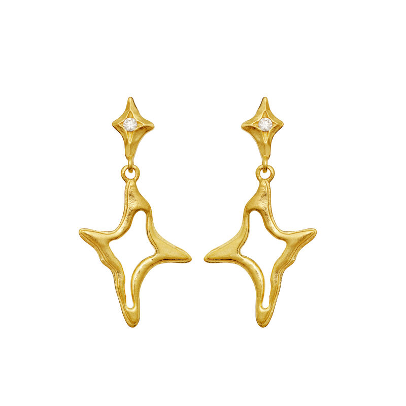 Roxy Earrings