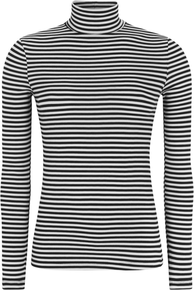 Srfenja Stripe Rollneck Top