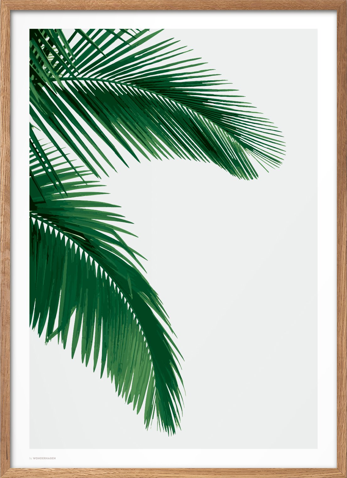 Wonderhagen Palm Plakat