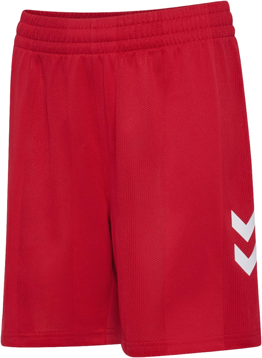Danmark DBU 26/27 BÃ¸rn Hjemmebaneshorts