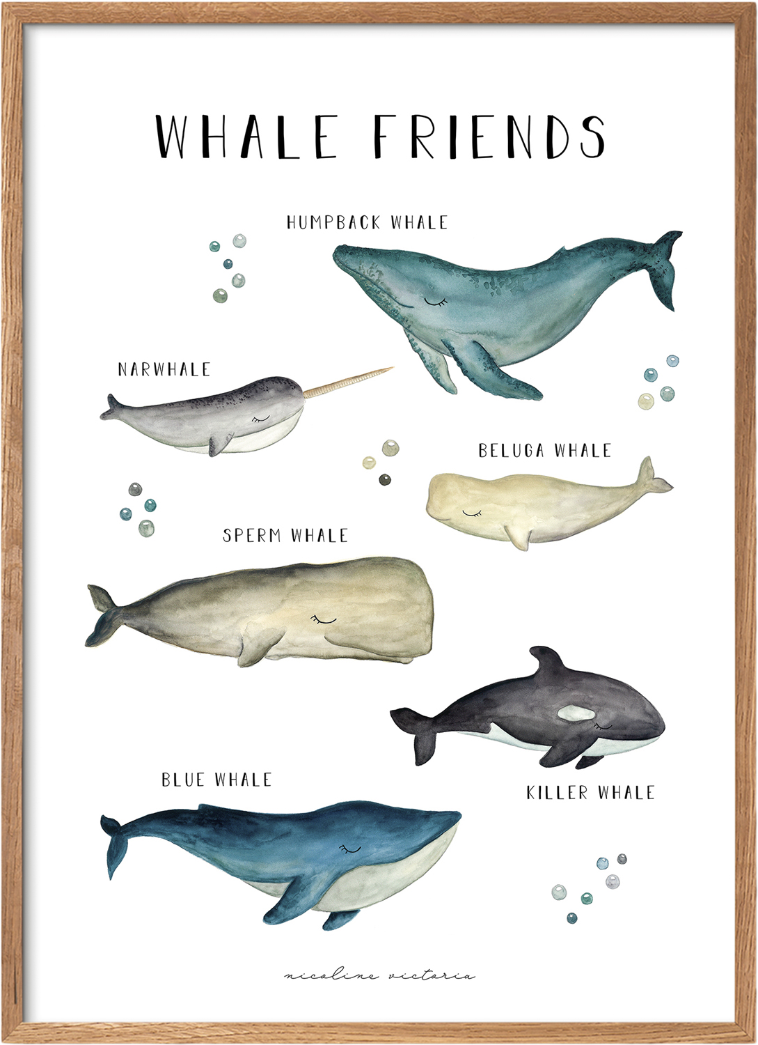 Nicoline Victoriakids - Whale Friends