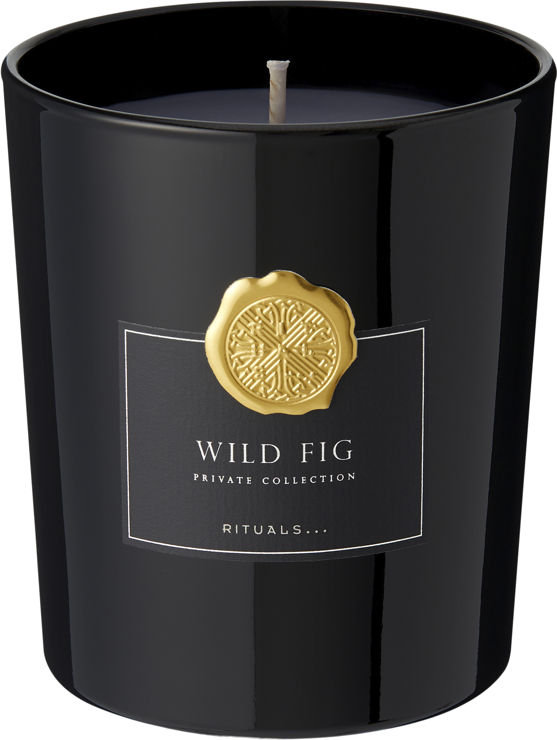 Wild Fig