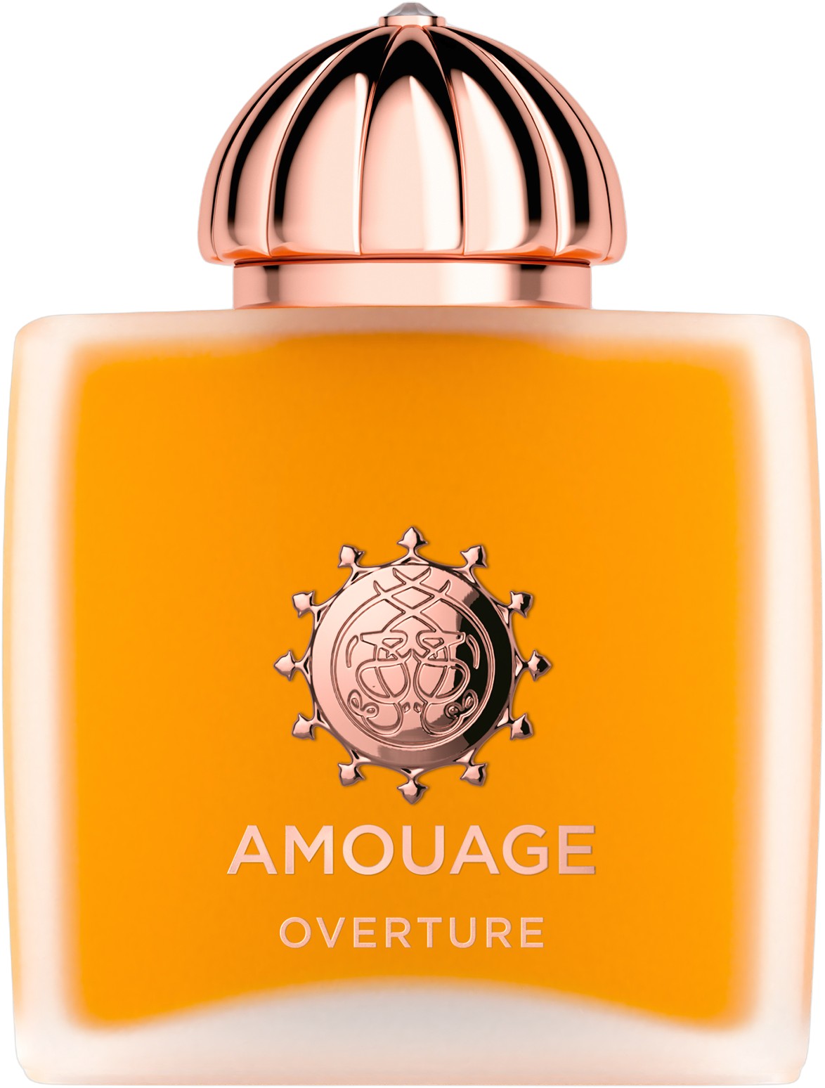 Amouage Overture Woman EDP 100ml