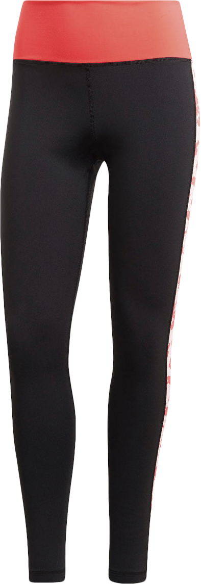 Believe Highrise Tight