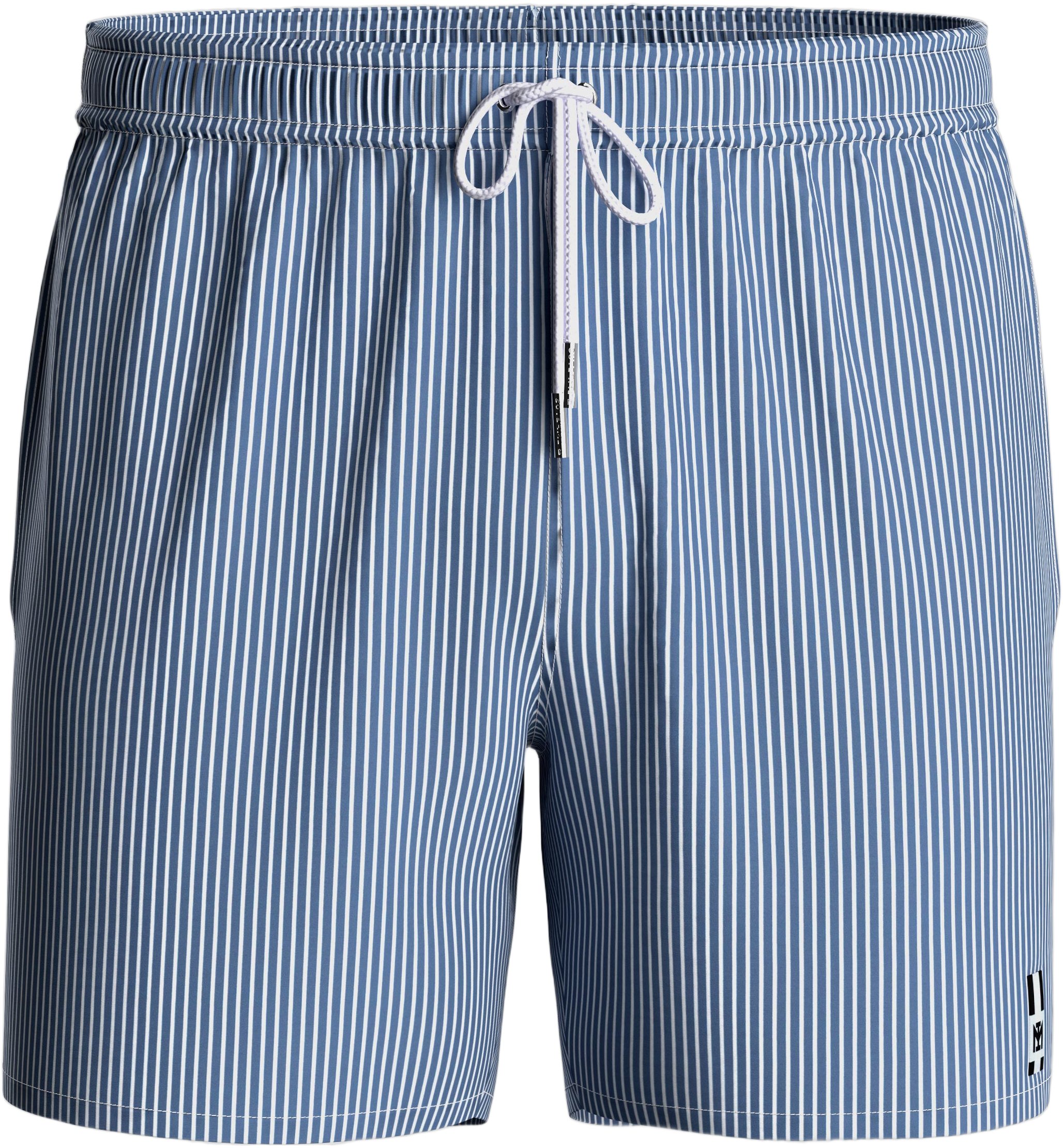 Striped Swim Shorts