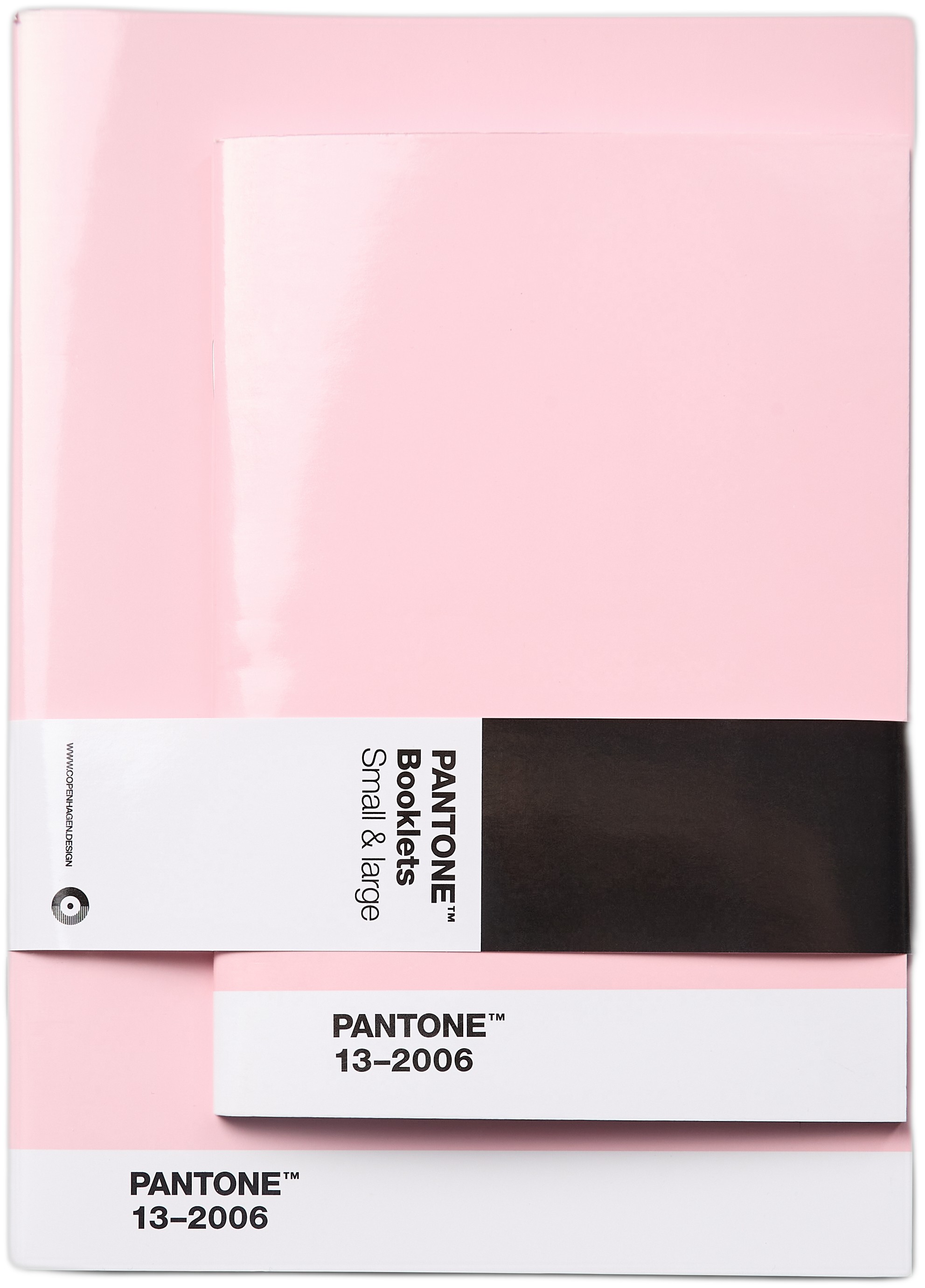 Pantone Booklets SET OF 2 Dotted Light Pink