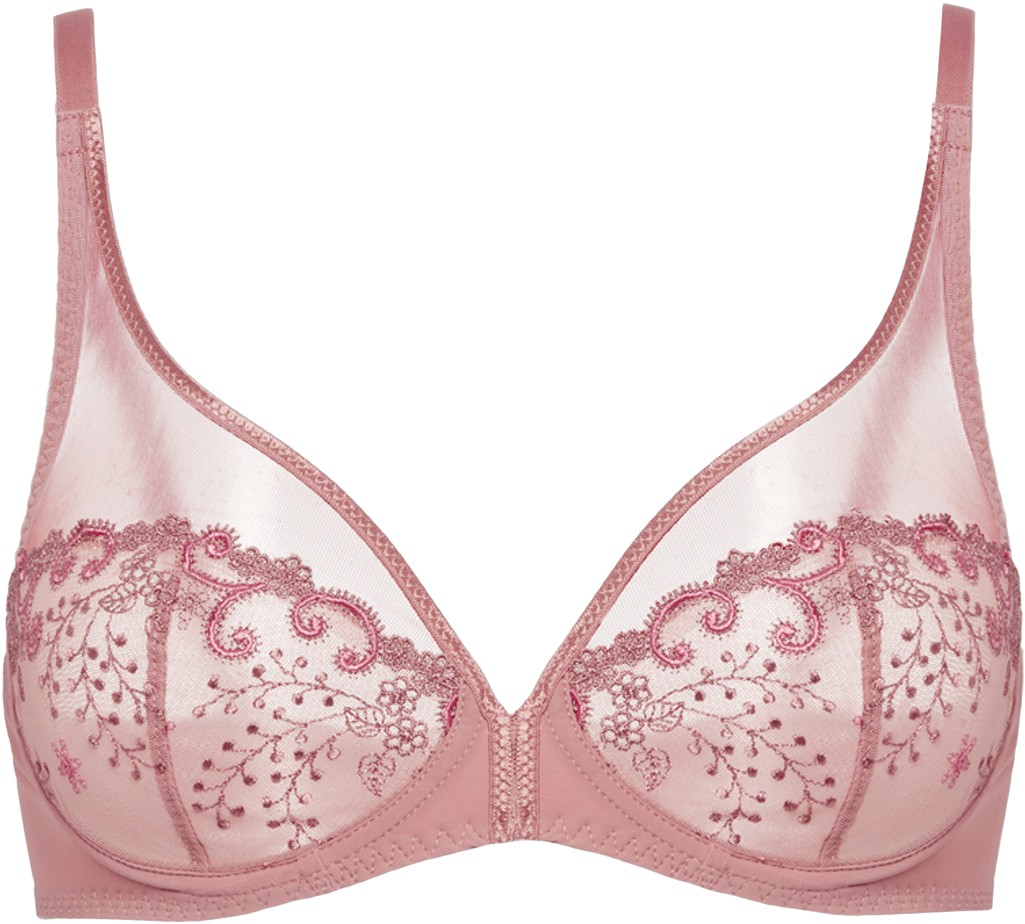 DÃ©lice Plunging Underwired bra