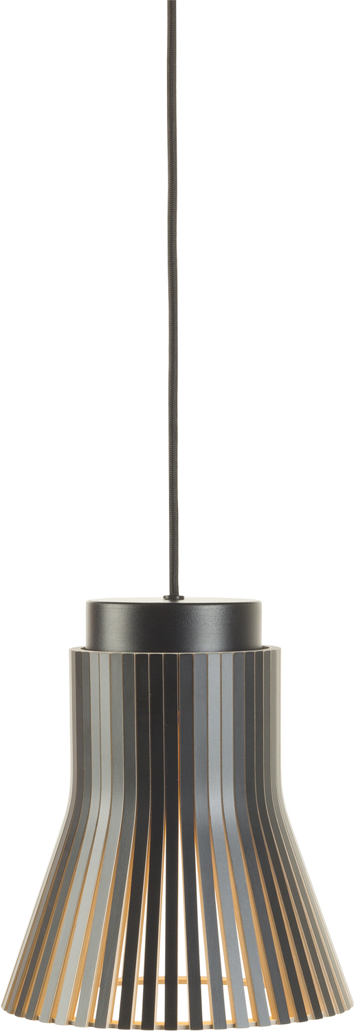 Petite 4600, Pendel