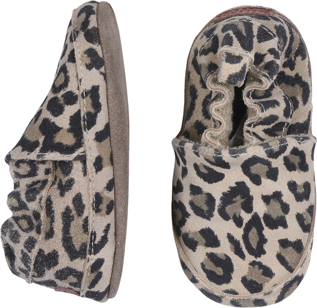 Leather Shoe Animal Skin