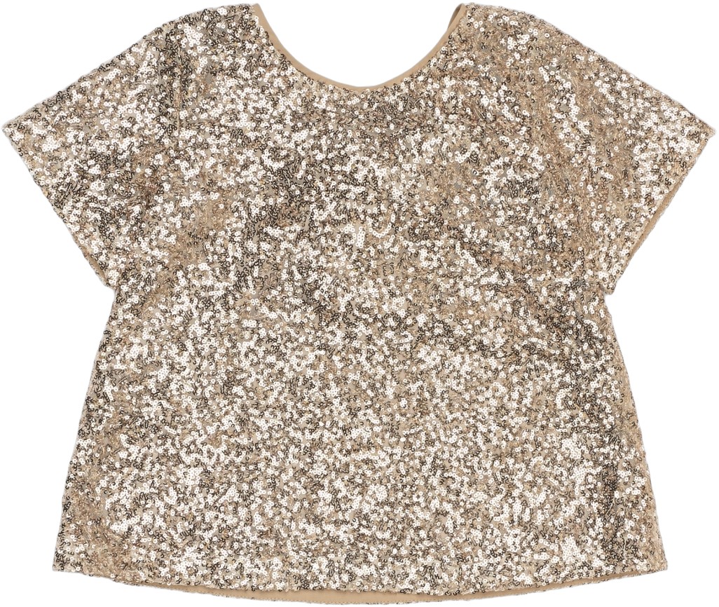 Tnrupa S_S Sequin Top