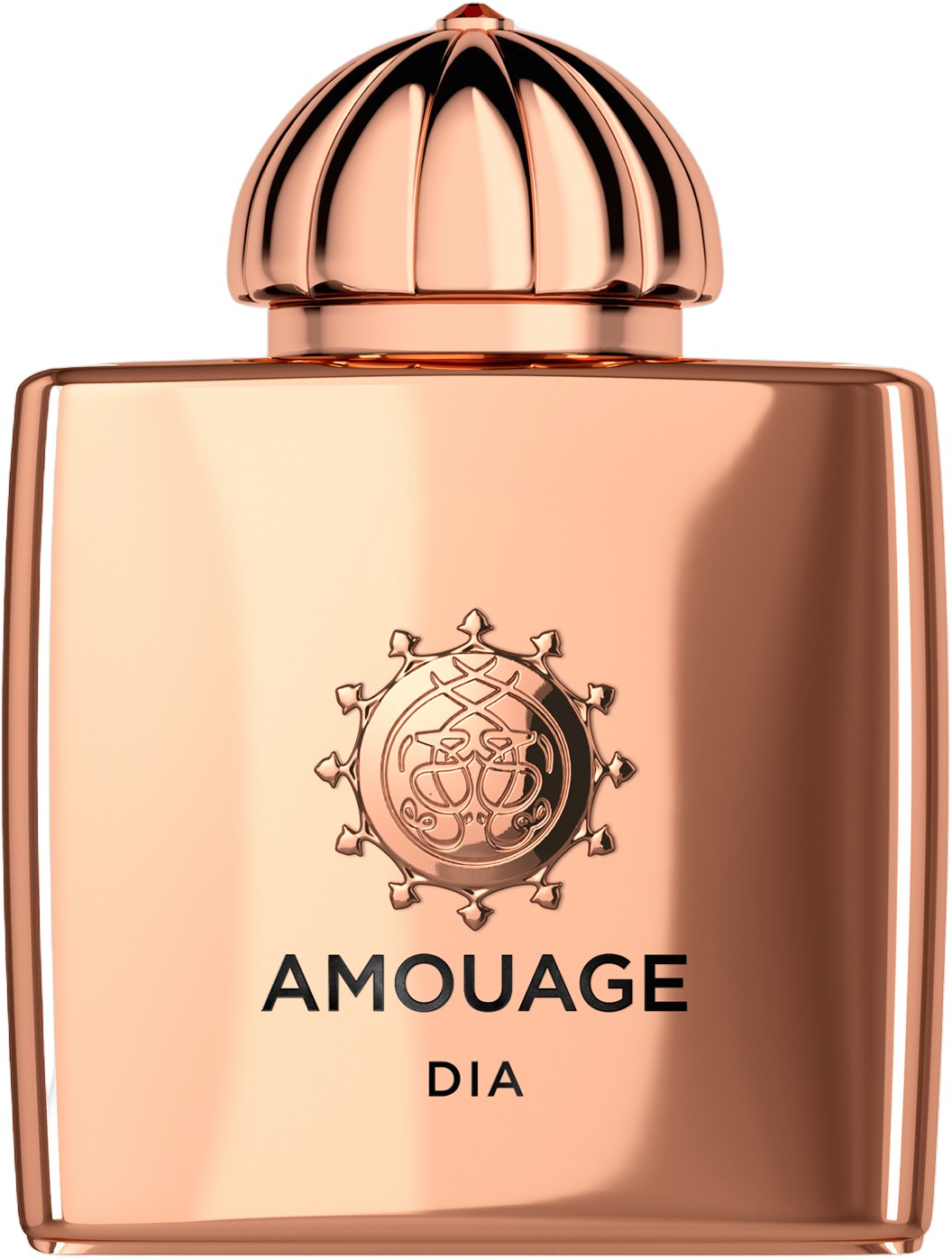 Amouage DIA Woman EDP 100 ML