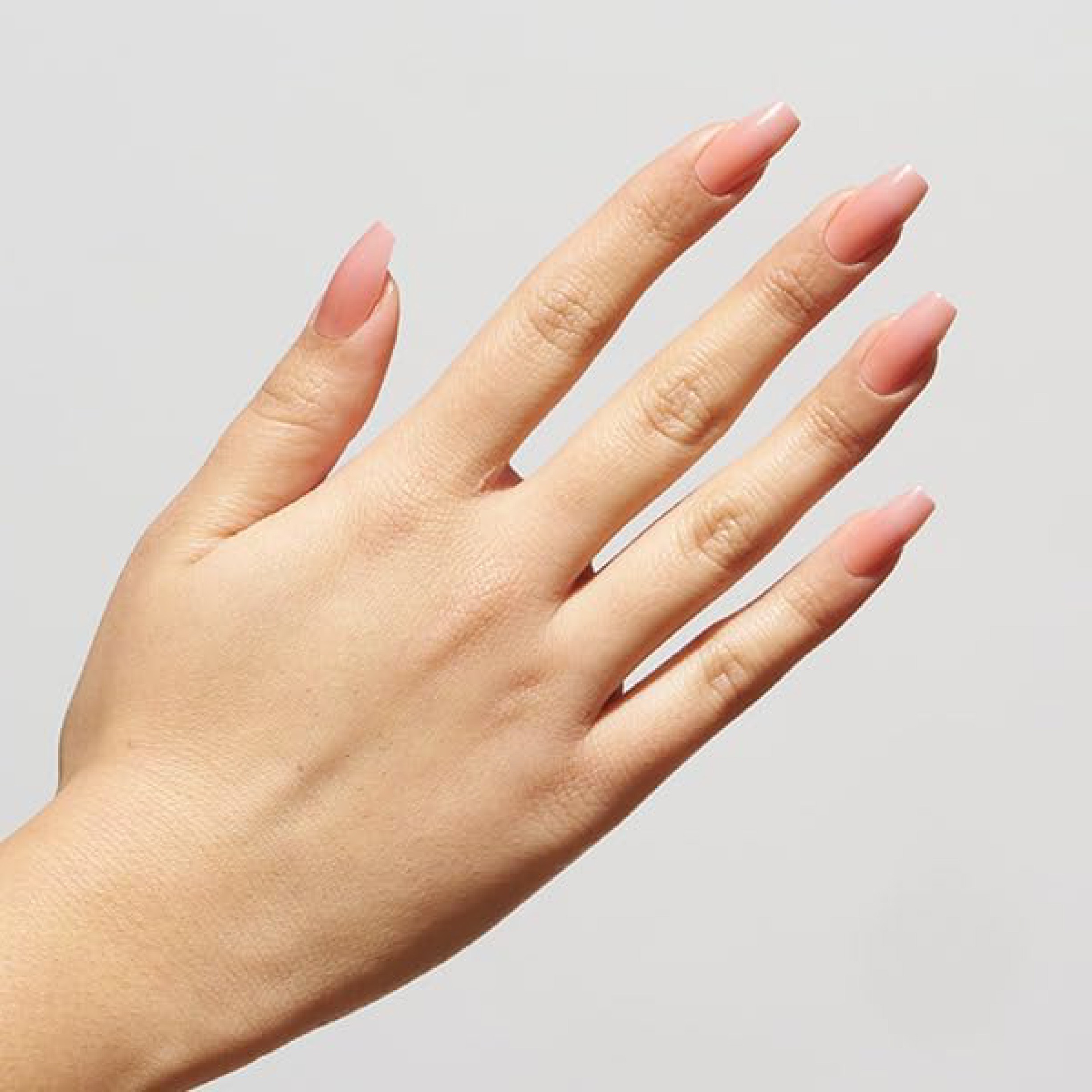 Elegant Touch Rosewood Blush