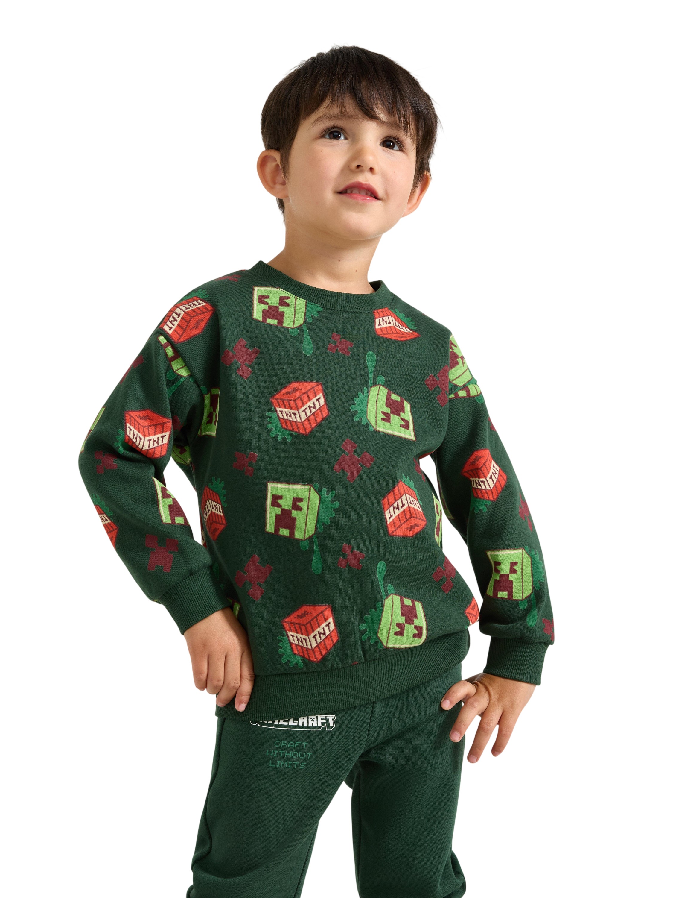 Minecraft Sweatshirt med Borstad in