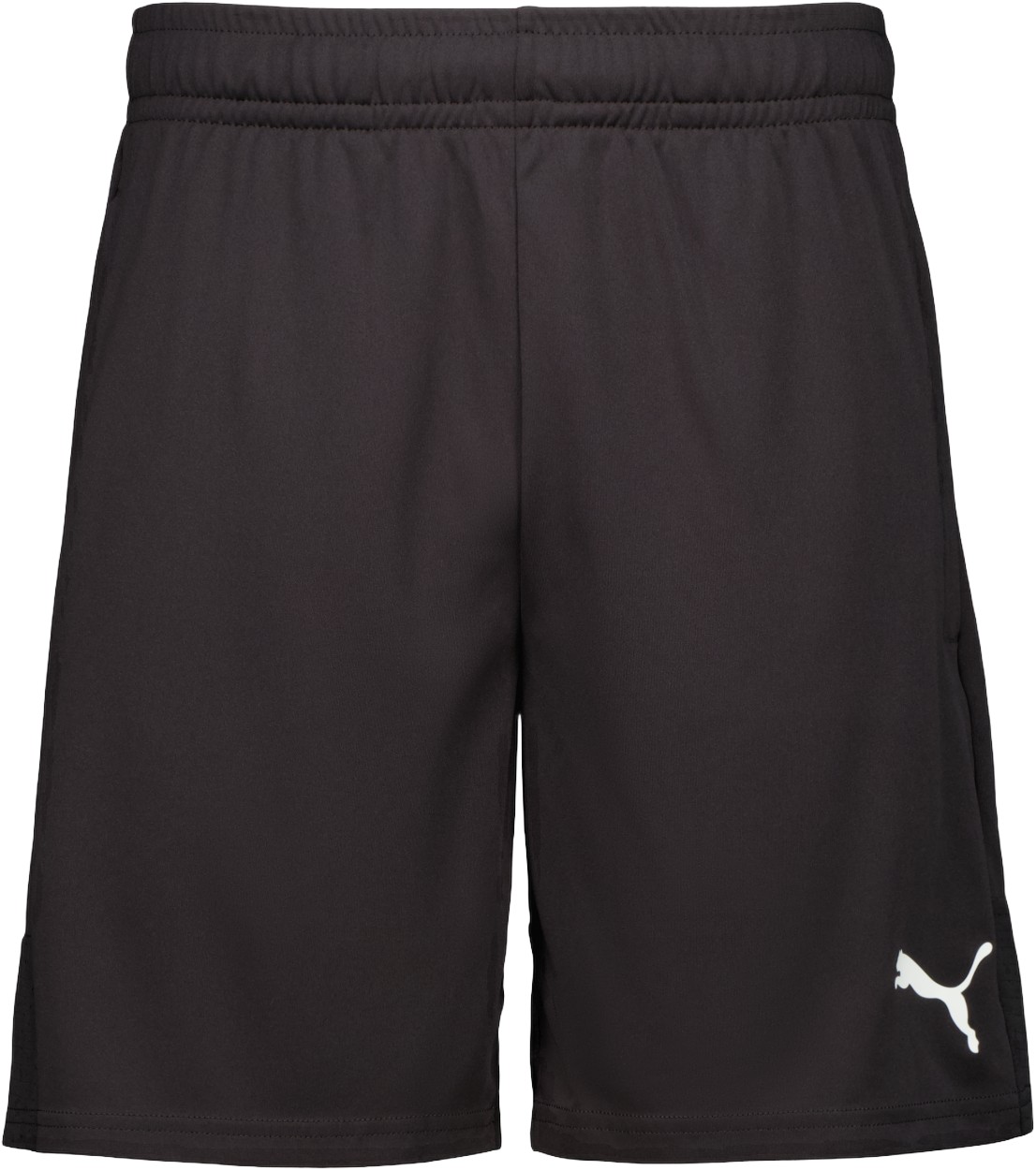Teamliga Trænings Shorts Teamliga Trænings Shorts