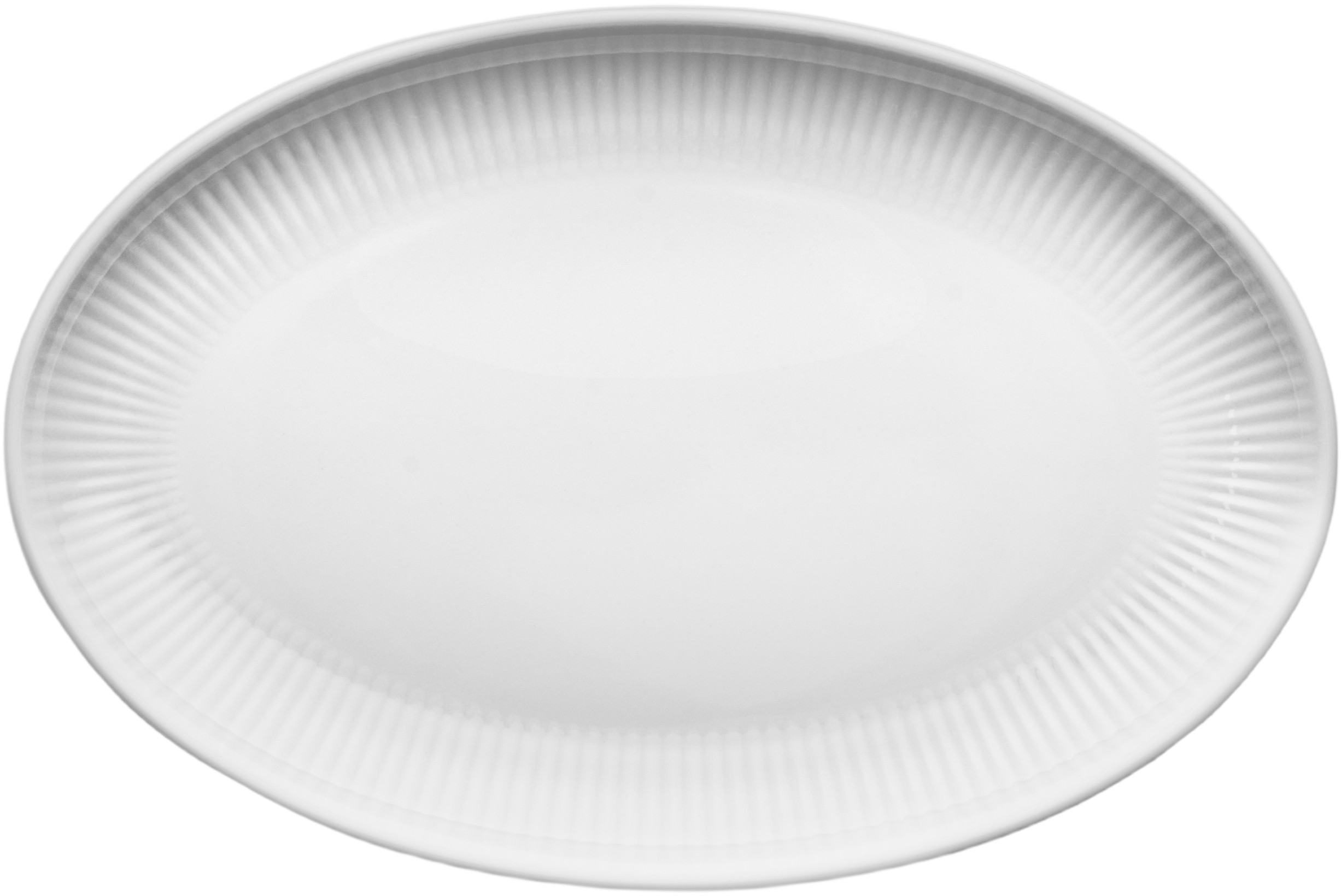 Legio Nova Oval Coupe Tallerken 24,5 cm, 4stk