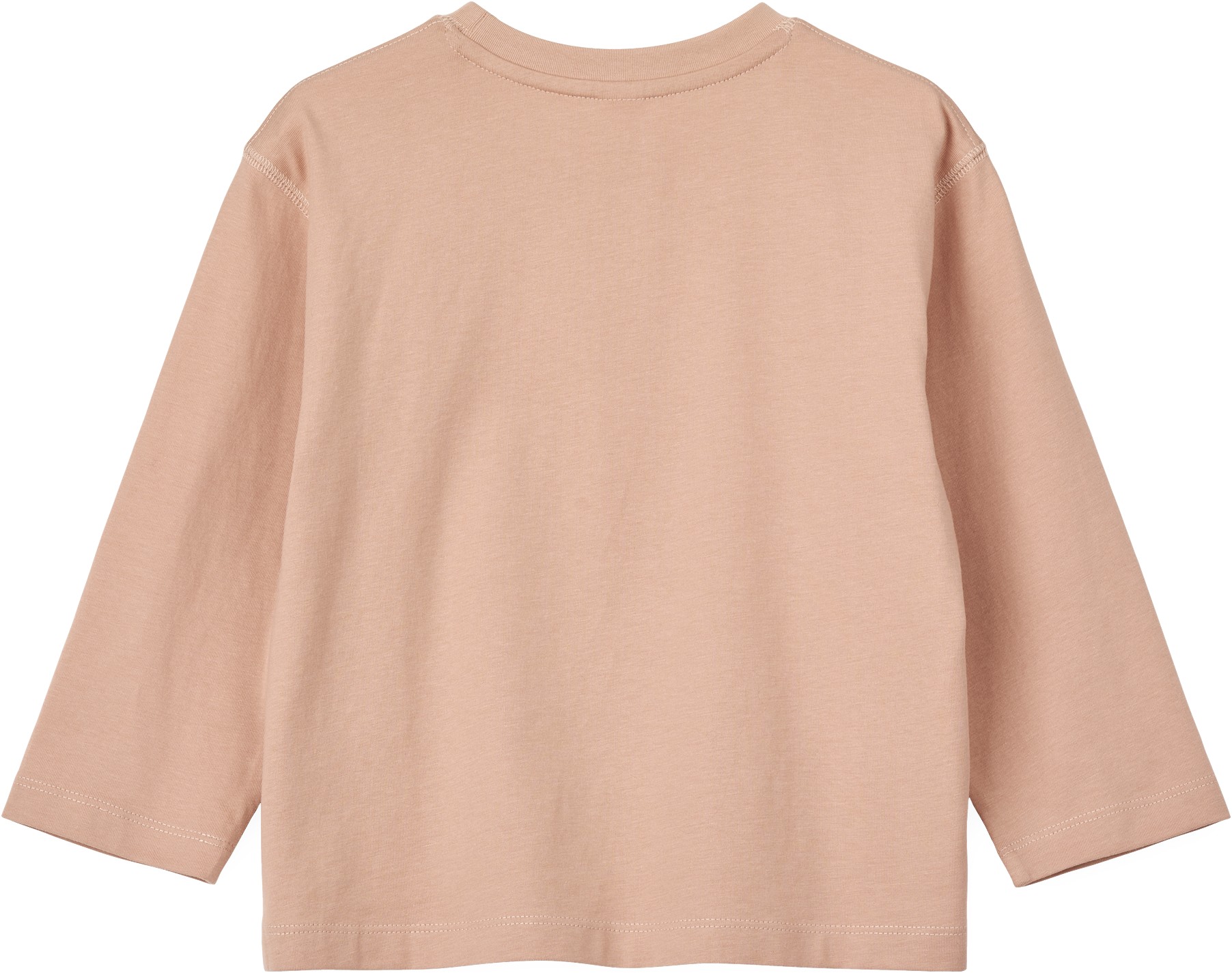 Apia Placement Longsleeve Tshirt
