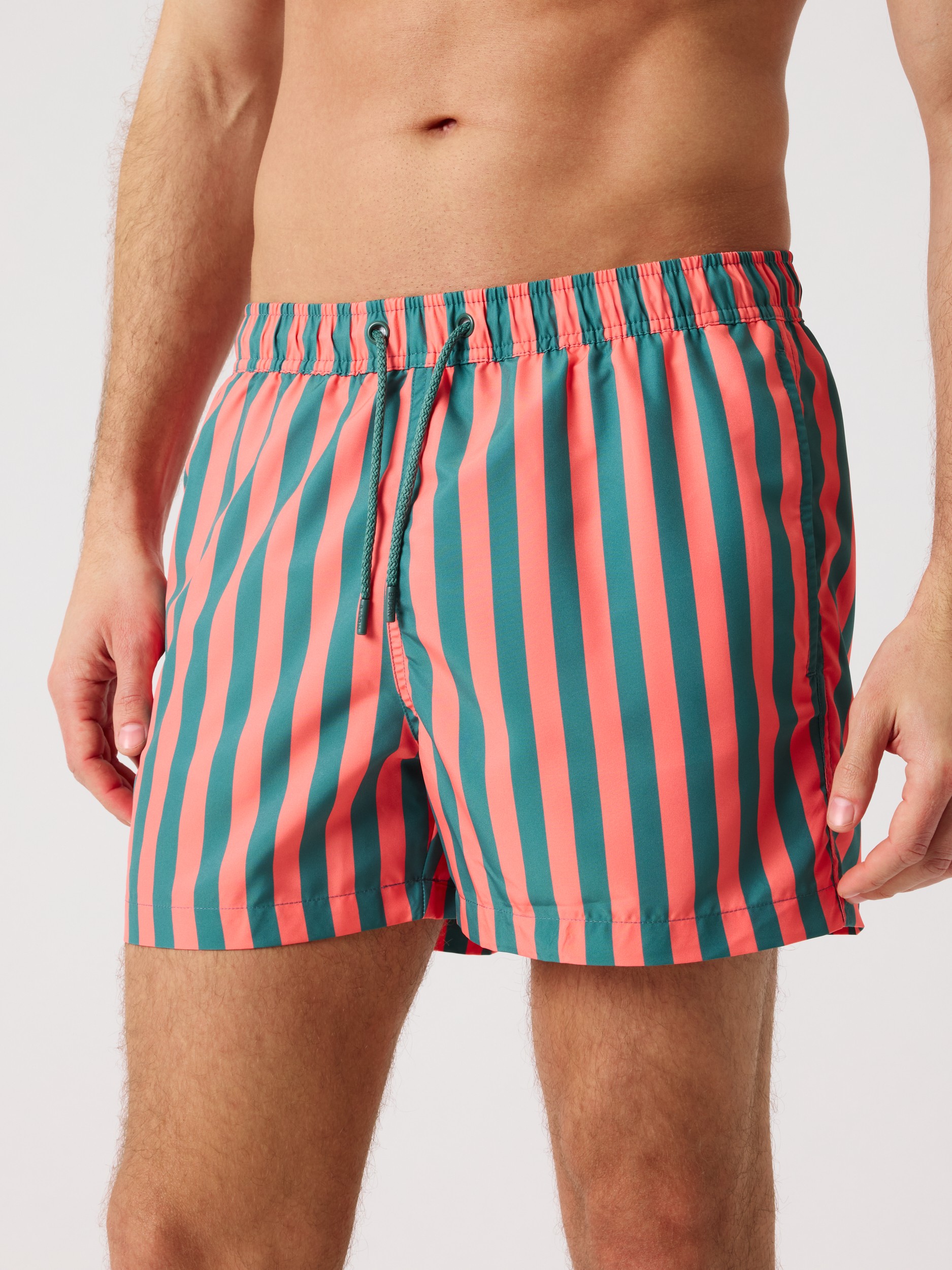 Borg Print Swim Shorts