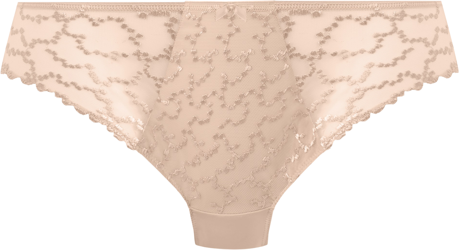 ANA Brief