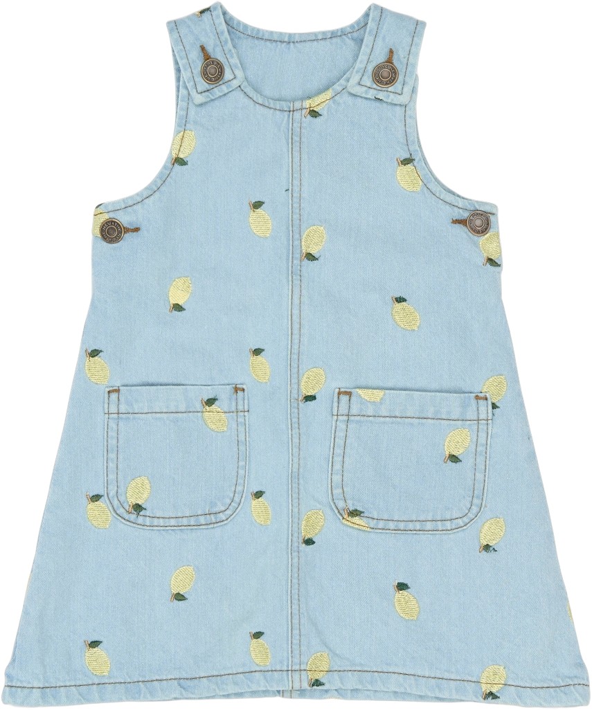 Tnstsaja S_L Denim Dress