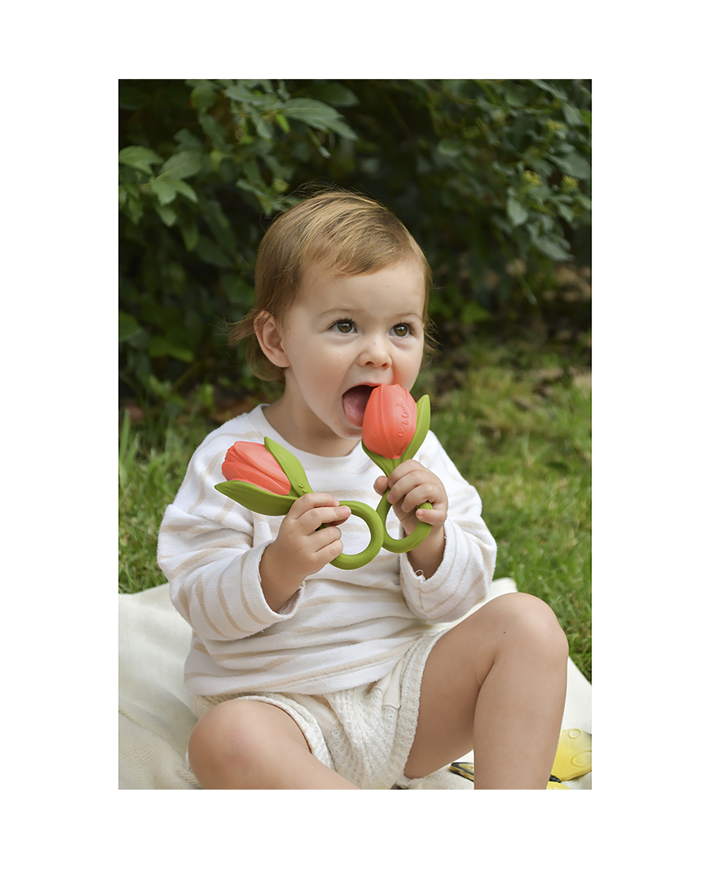 Oli & Carol Bidering - Theo the Tulip