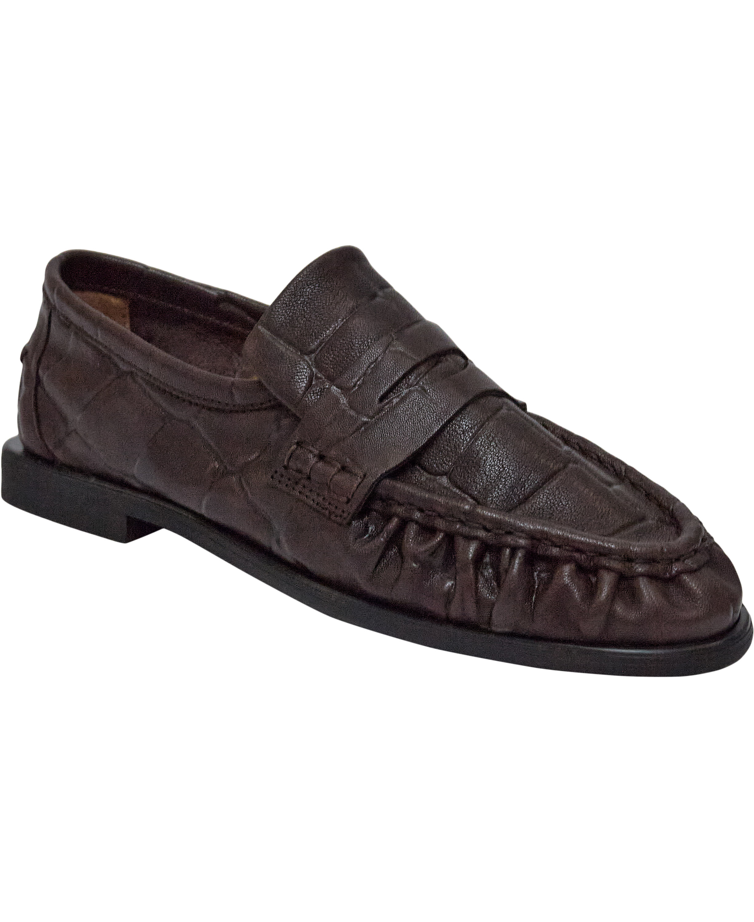 Paelmira Croco