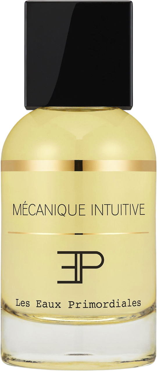 LES Eaux Primordiales MÃ©canique Intuitive 50 ml