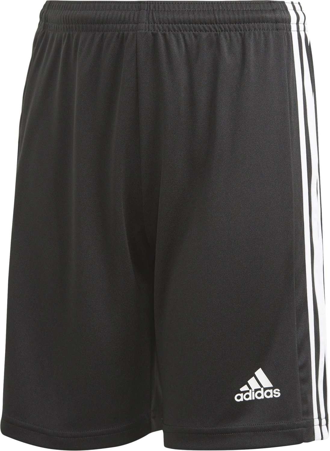 Squadra 21 Shorts