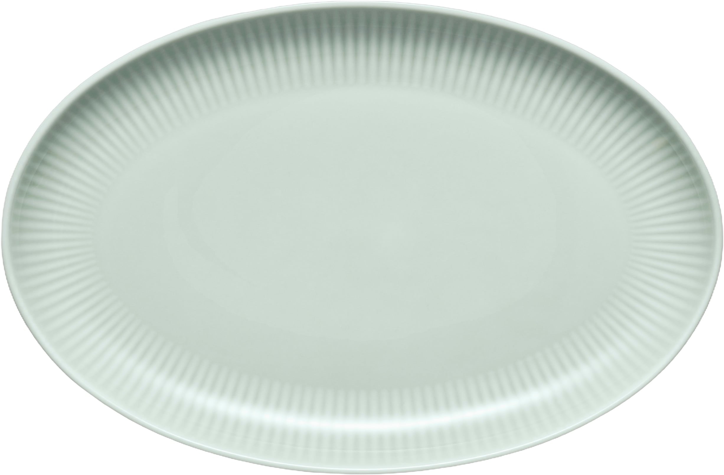 Legio Nova Palette Oval Coupe Tallerken 24,5 cm Mint