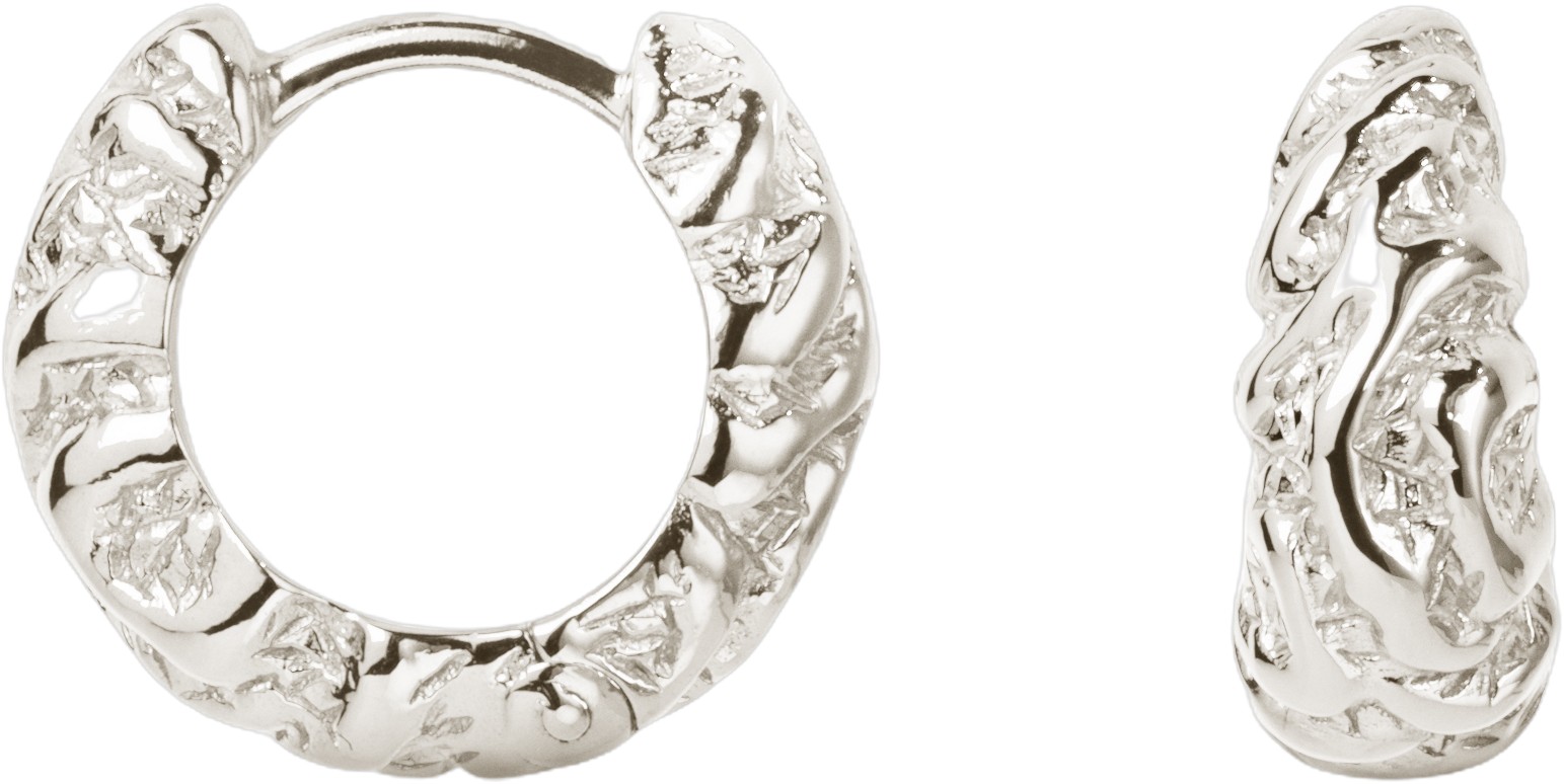 Small Zebra Hoops