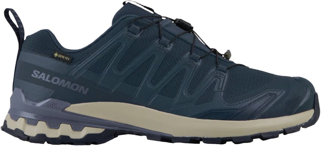 XA Pro 3D V9 Goretex Vandresko