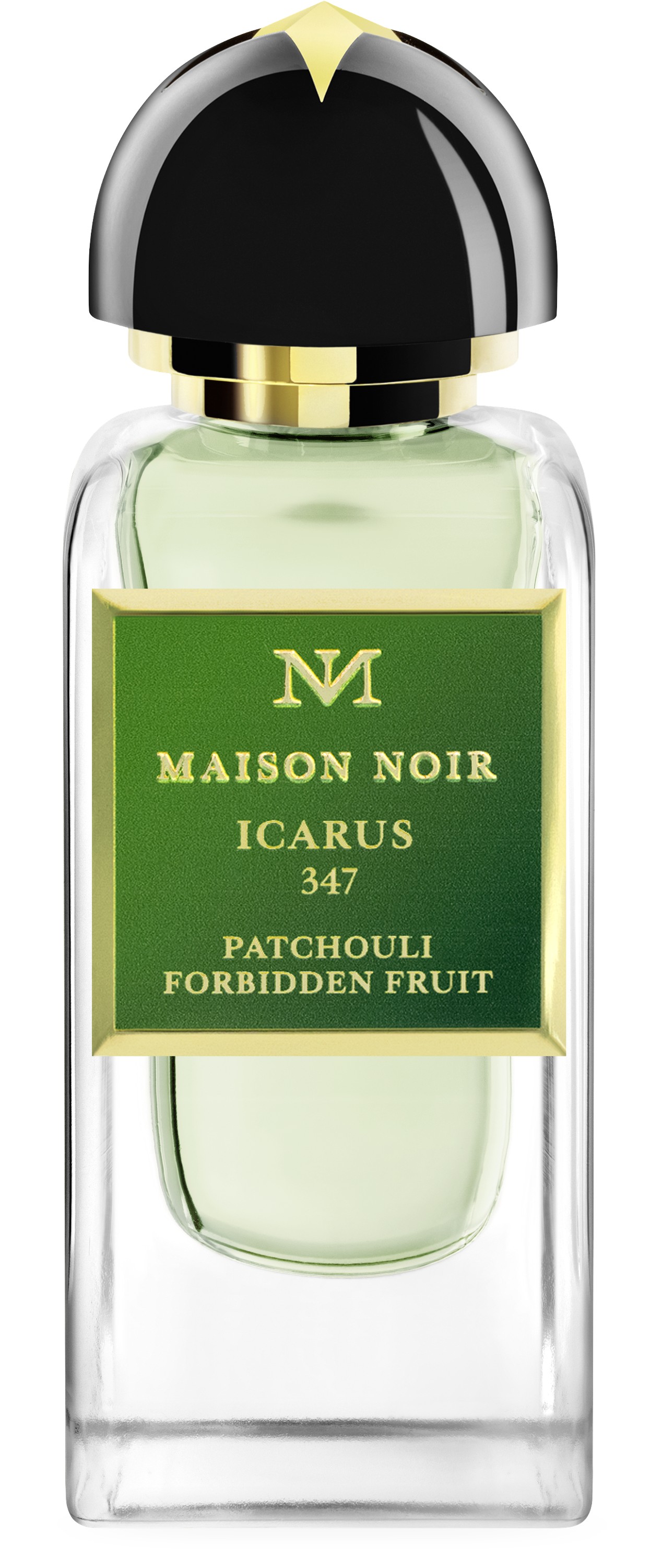Maison Noir Icarus 347