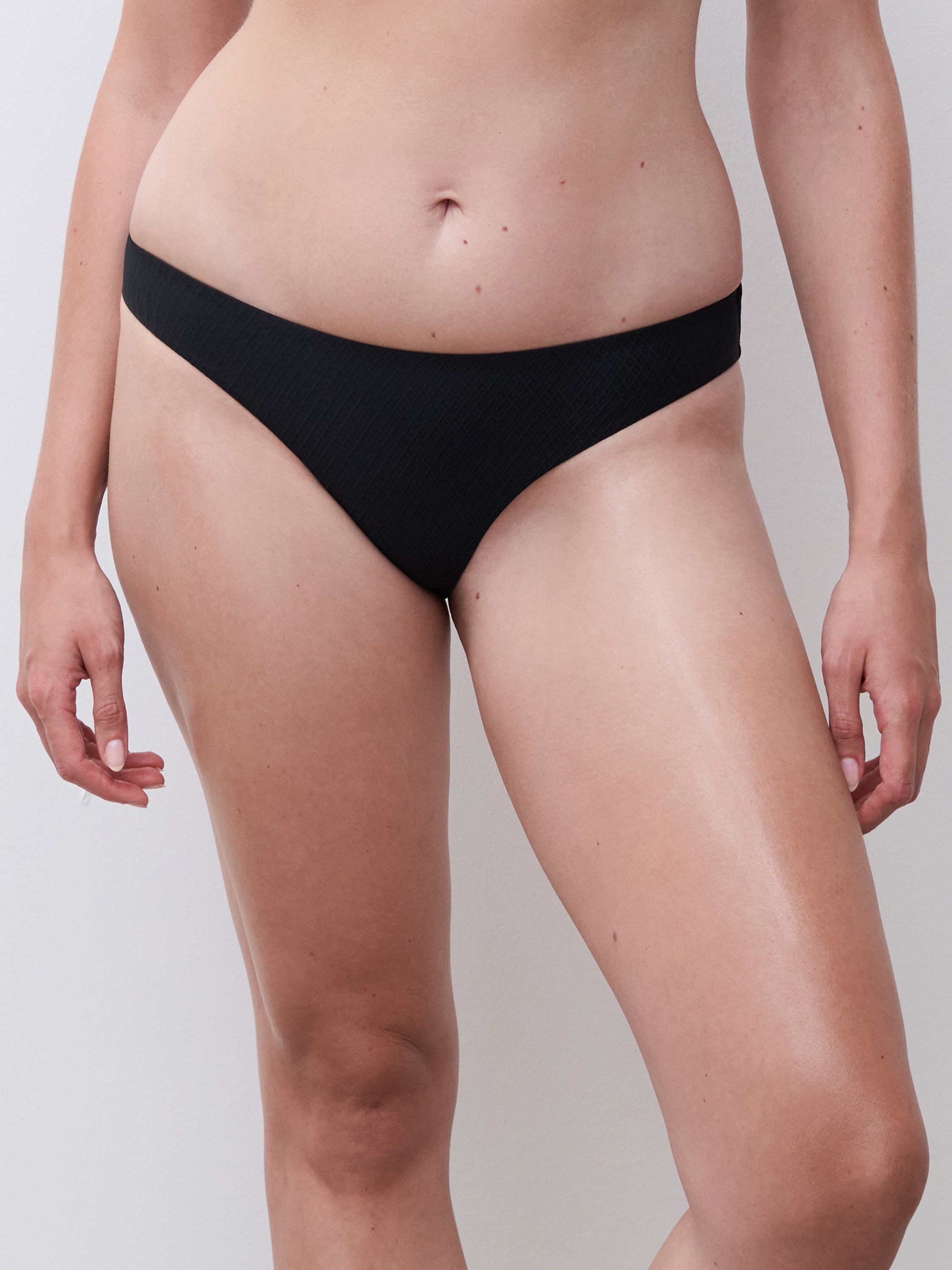 Navarino Brief