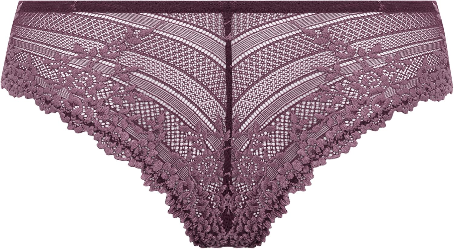 Embrace Lace Tanga - DKK 120 - Spar 60%