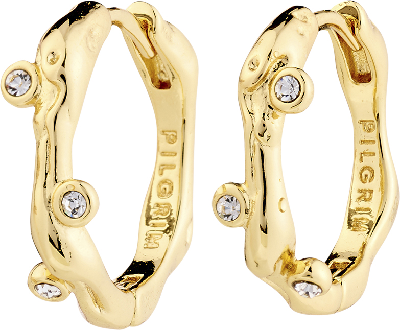 Hermione Crystal Hoop Earrings Goldplated - DKK 202 - Spar 25%