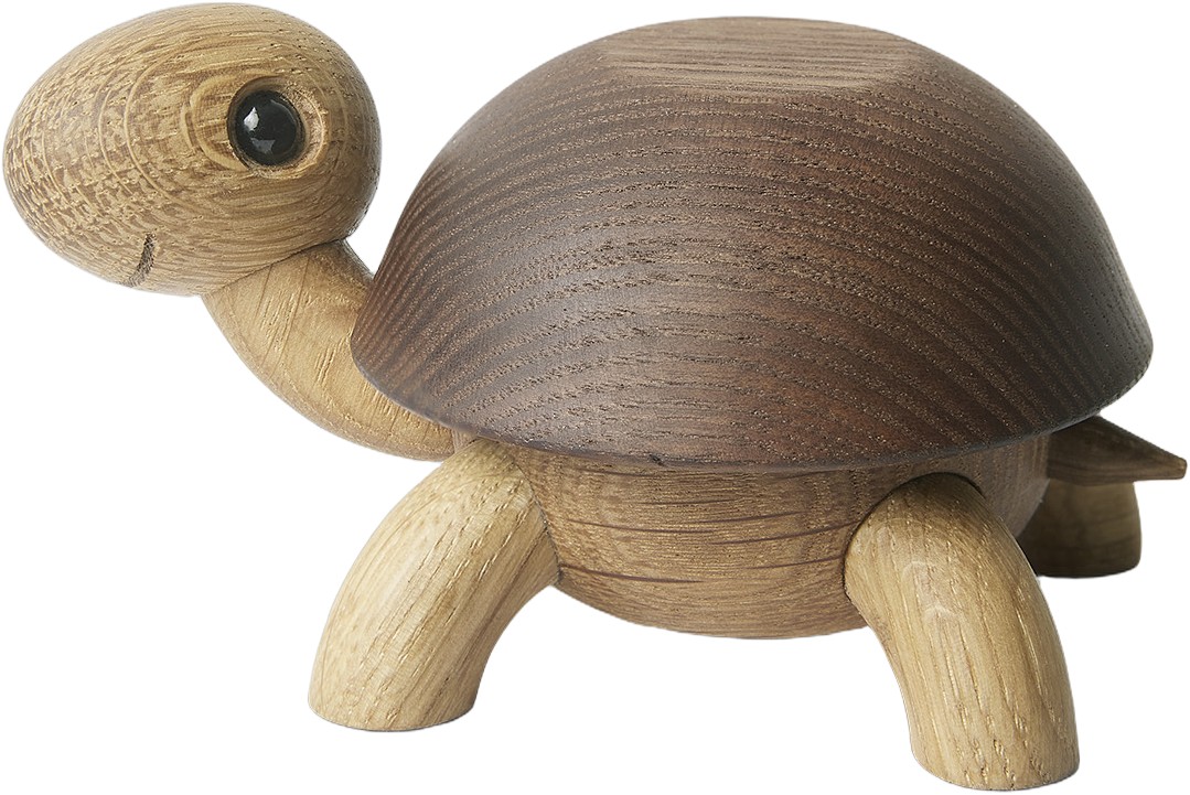 Speedy, Skildpaddeunge